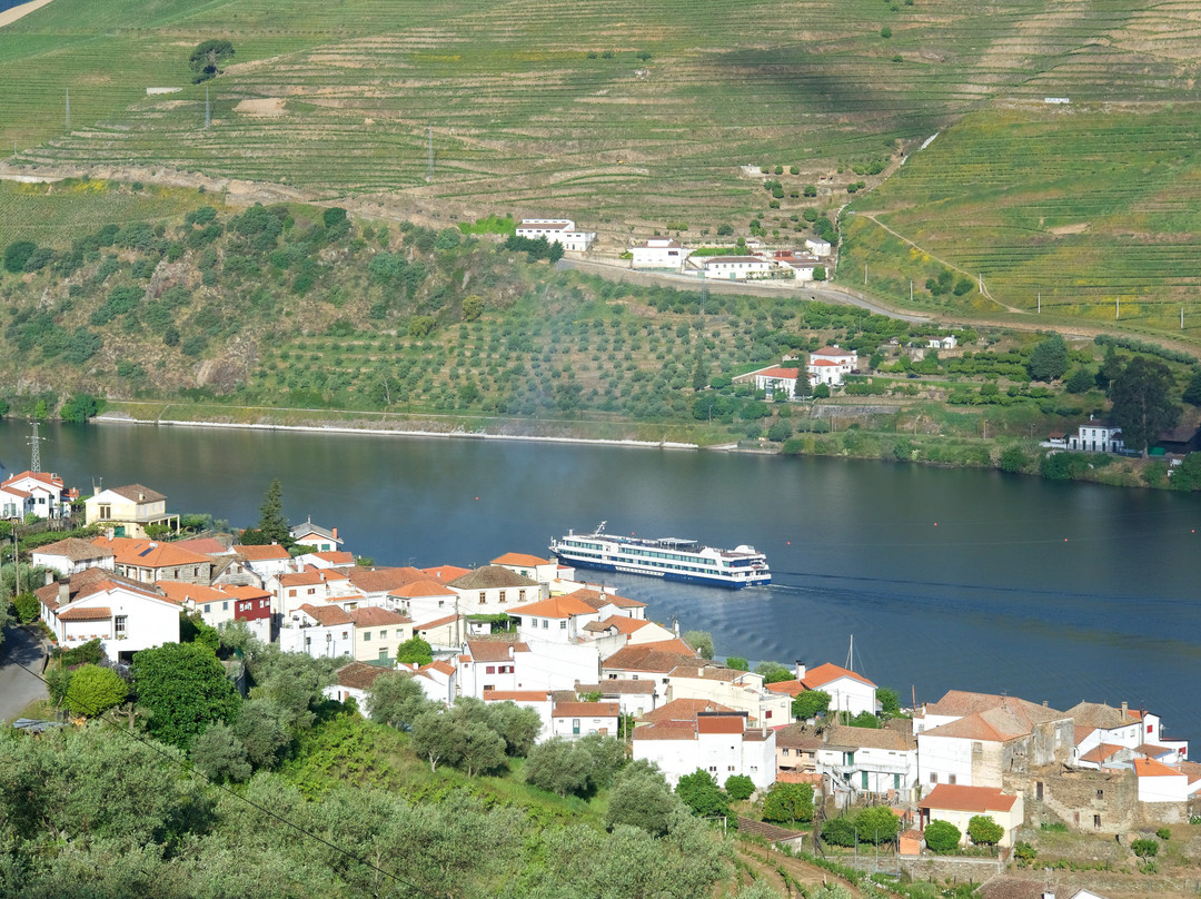 Tomas Barqueiro主图