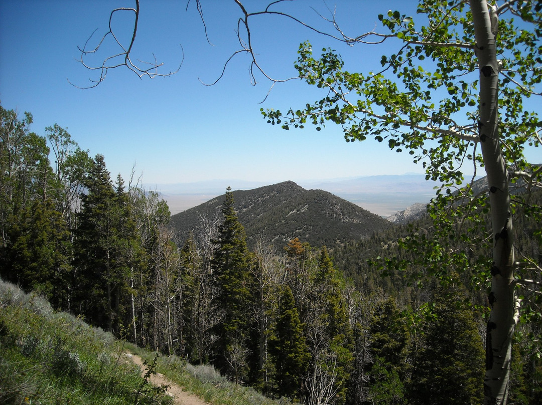 Baker Creek Loop Trail-Baker必去景点