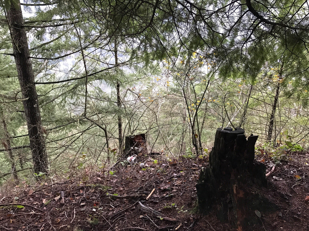 Teapot Hill Trail-Cultus Lake必去景点