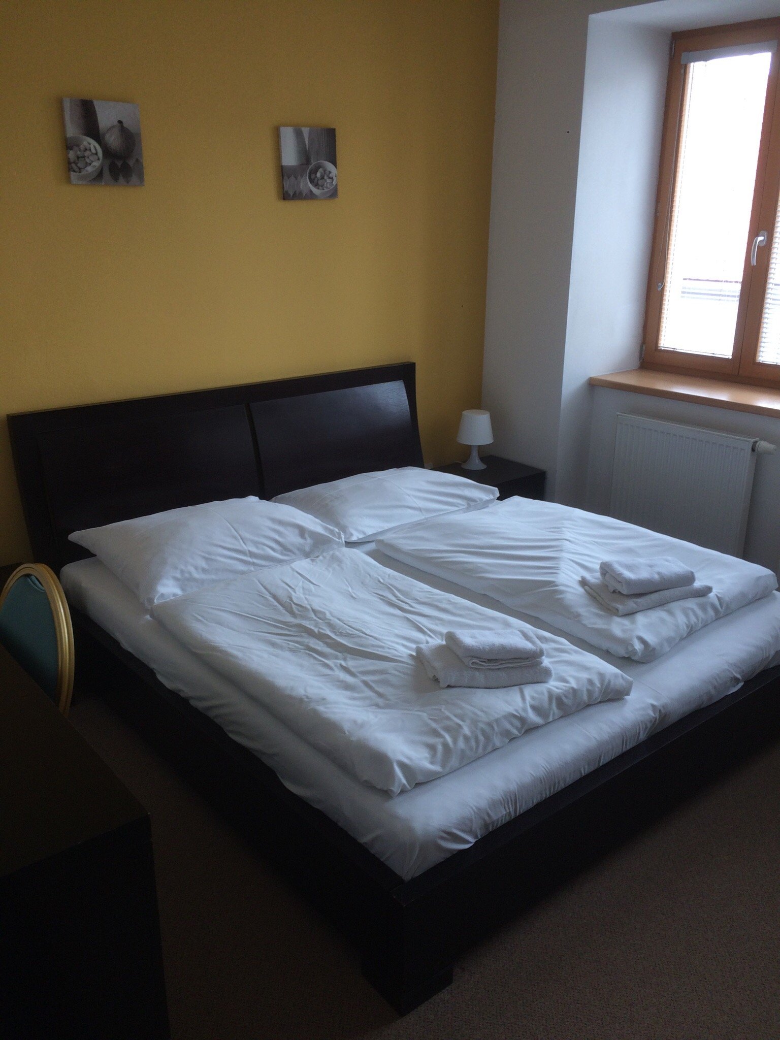 Hotel Zlaty Jelen-官方