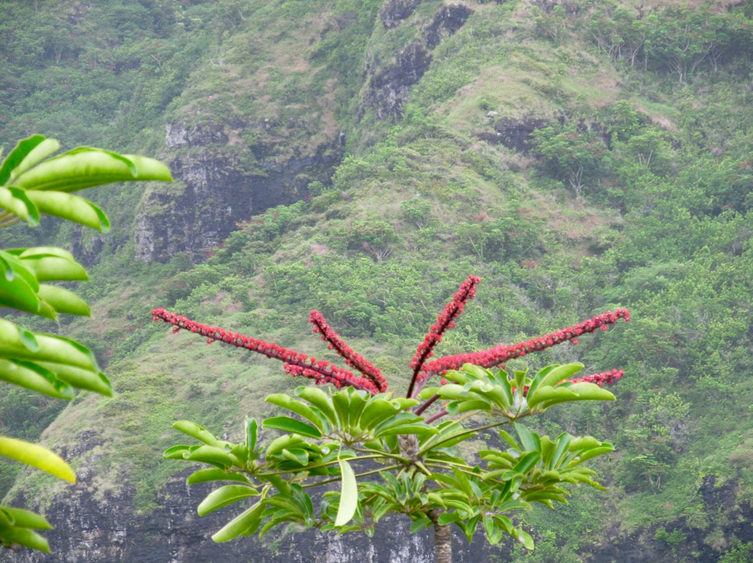 Kahekili Ridge hike-卡阿瓦必去景点