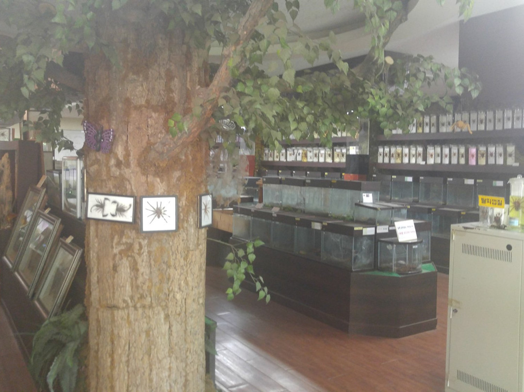 Jupil Spider Museum-南杨州市必去景点