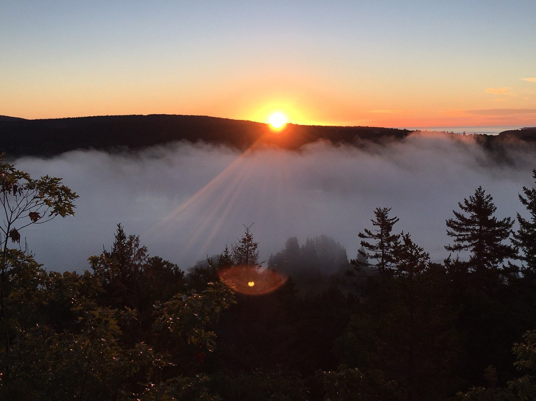 Flying Mountain Hiking Trail-Southwest Harbor必去景点