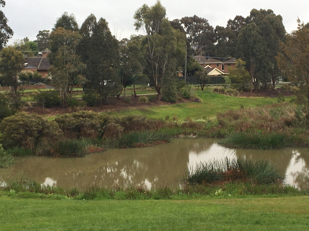 Wurundjeri Walk景点图片