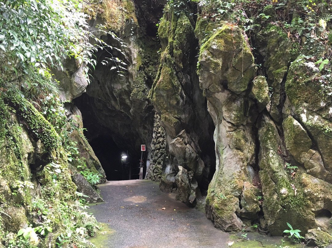 Furen Limestone Cavern景点图片