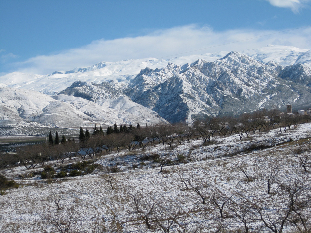 Quaryat Dillar景点图片