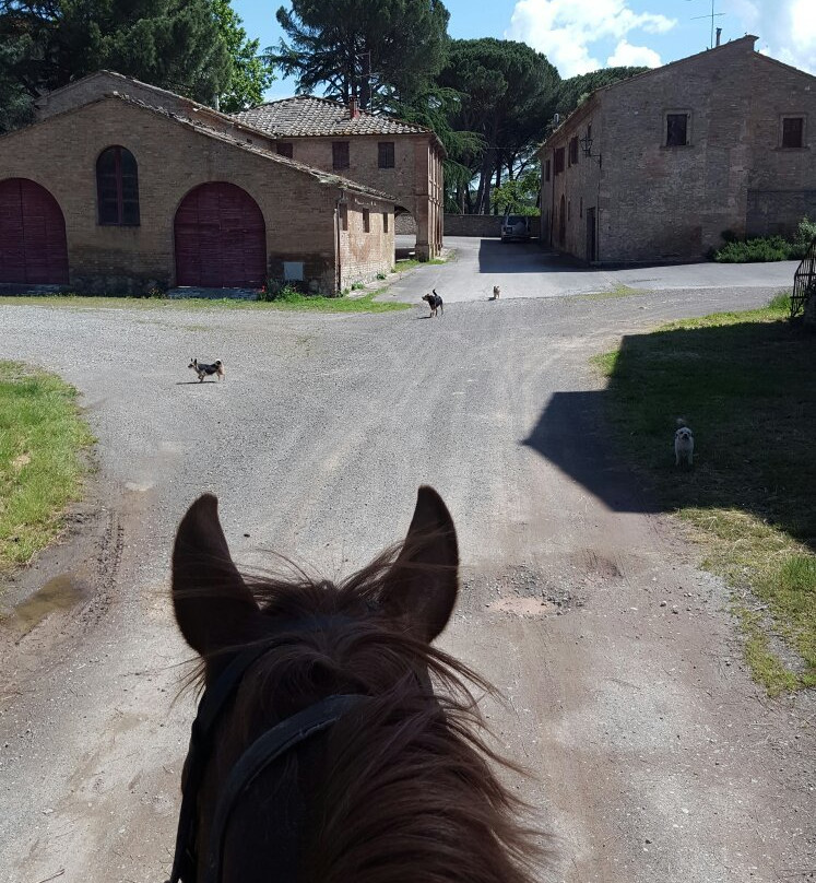 ASD Il Destriero-Buonconvento必去景点