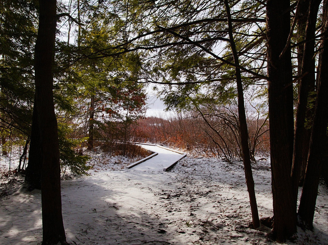Black Moshannon State Park景点图片