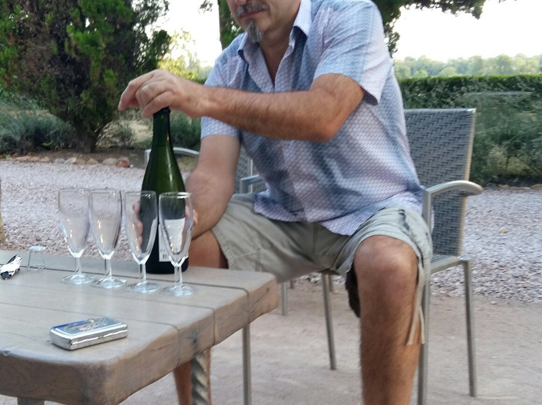 Domaine Saint-Joly主图