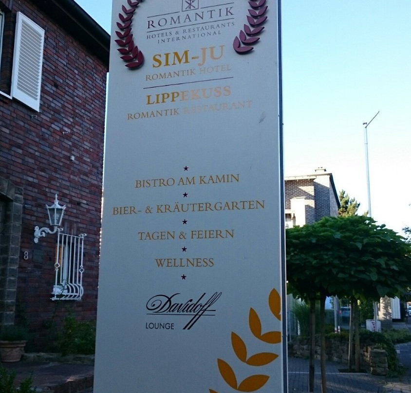 Romantik Hotel Sim-Ju主图