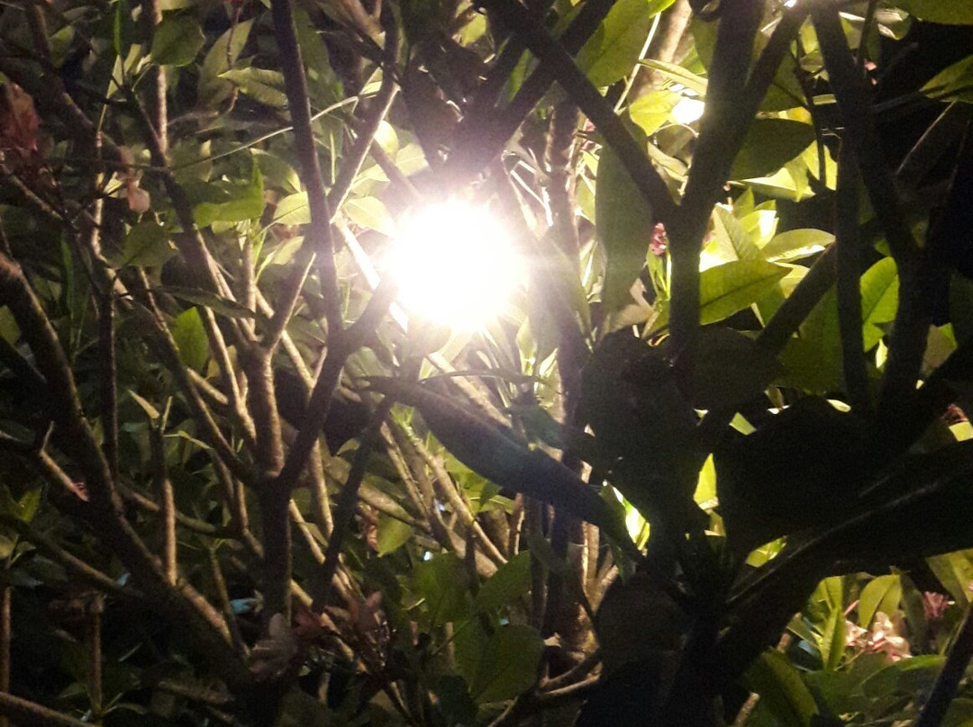 Baywalk Garden Pension House主图