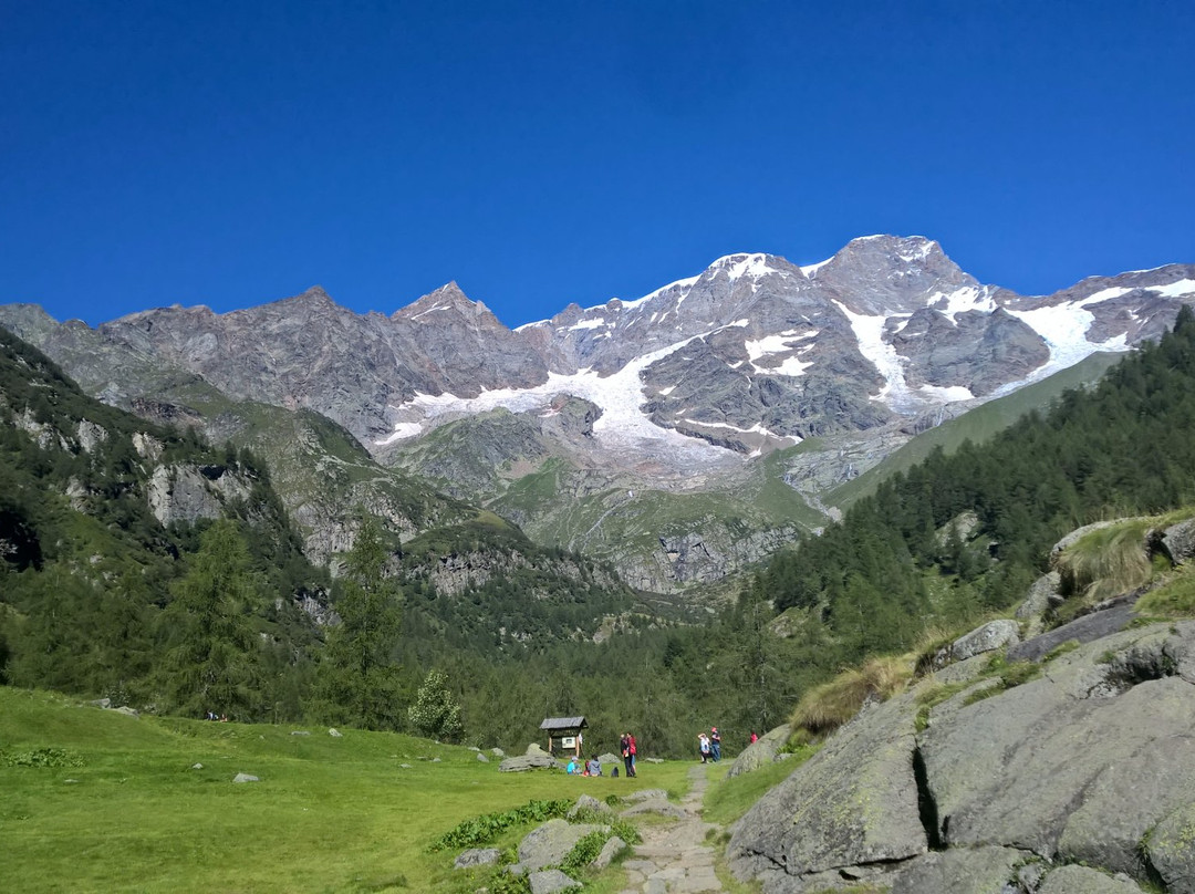 Parco dell'Alta Valsesia景点图片