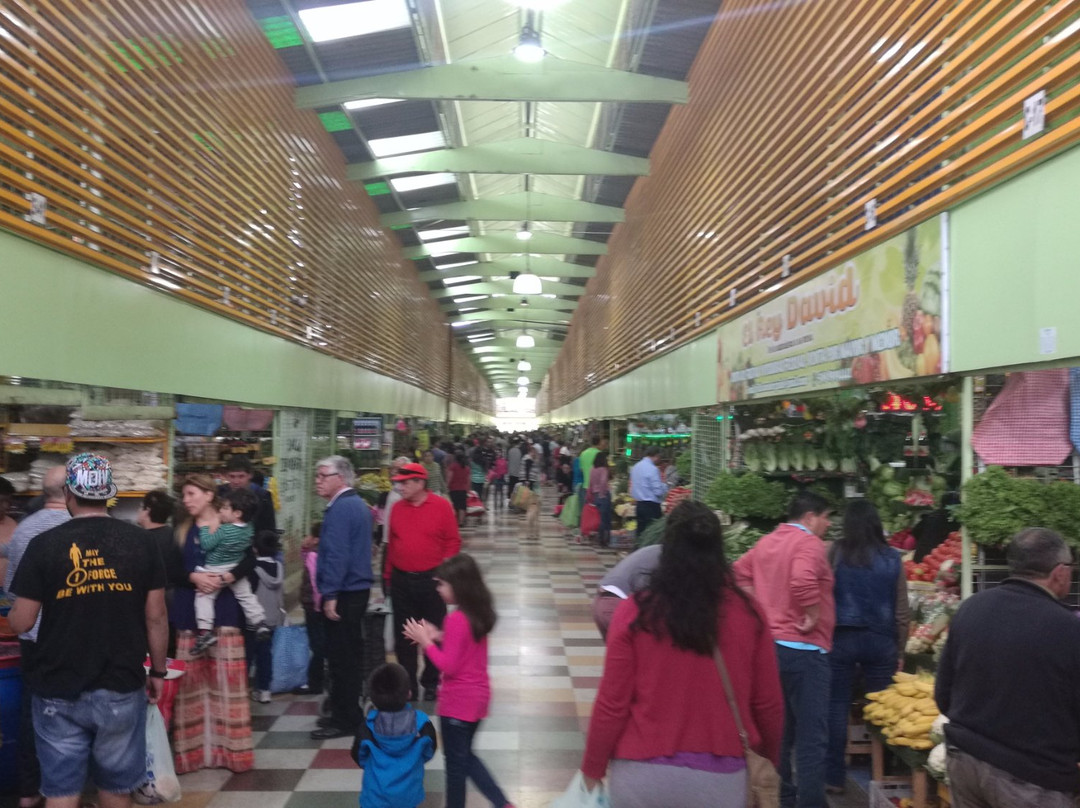 Terminal Agropecuario de Iquique - Region de Tarapaca-伊基克必去景点