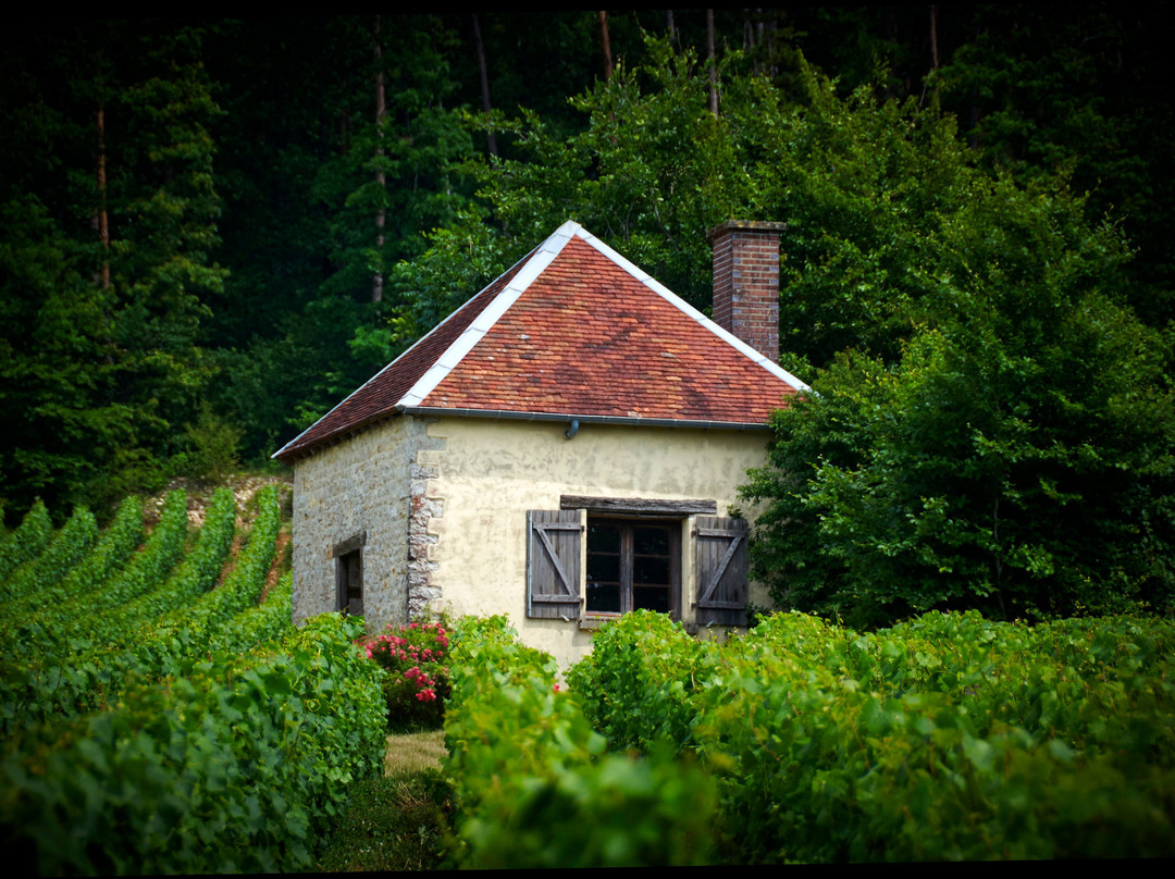 Champagne Domaine de la Borderie-Bar-sur-Seine必去景点
