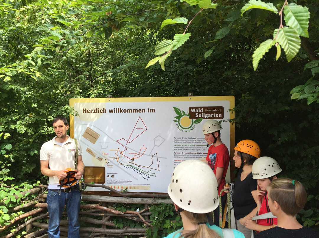 Waldseilgarten Herrenberg景点图片
