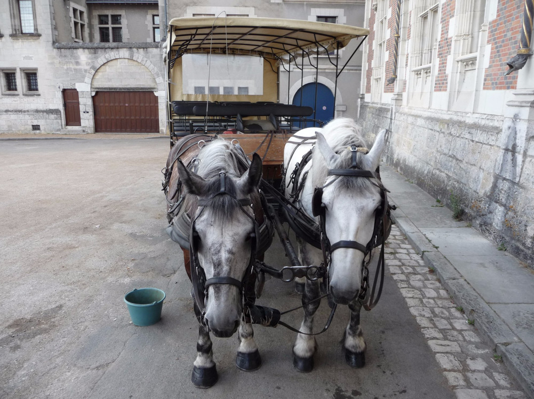 Les Chevaux de Marolles (Normandie)景点图片