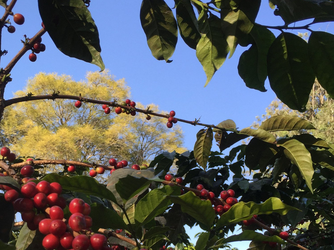 4 Wheeling Tanzania-卡拉图必去景点