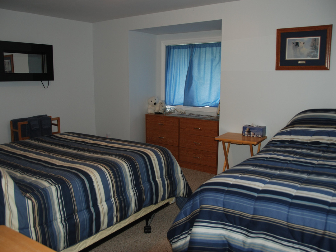 Teddy Bear Bed & Breakfast主图