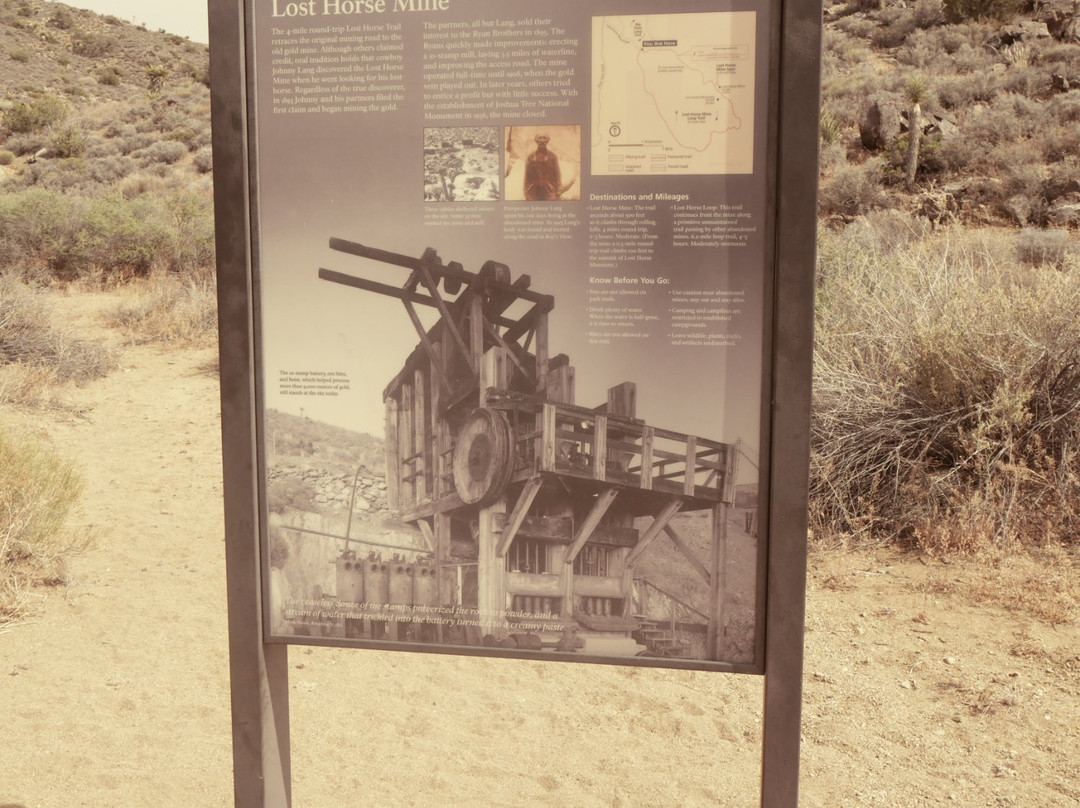 Lost Horse Mine-约书亚树国家公园必去景点