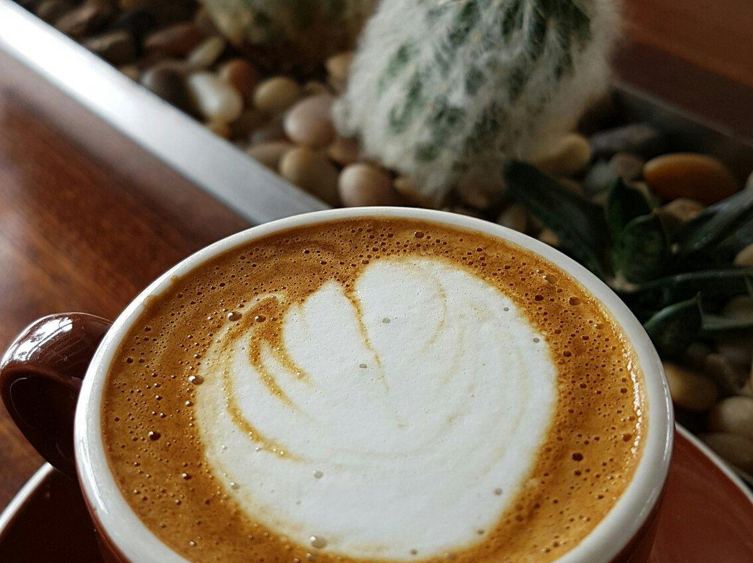 Bird Rock Coffee Roasters