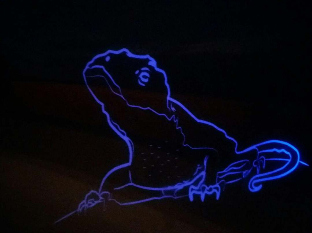 Museo Mapuche de Canete-Canete必去景点