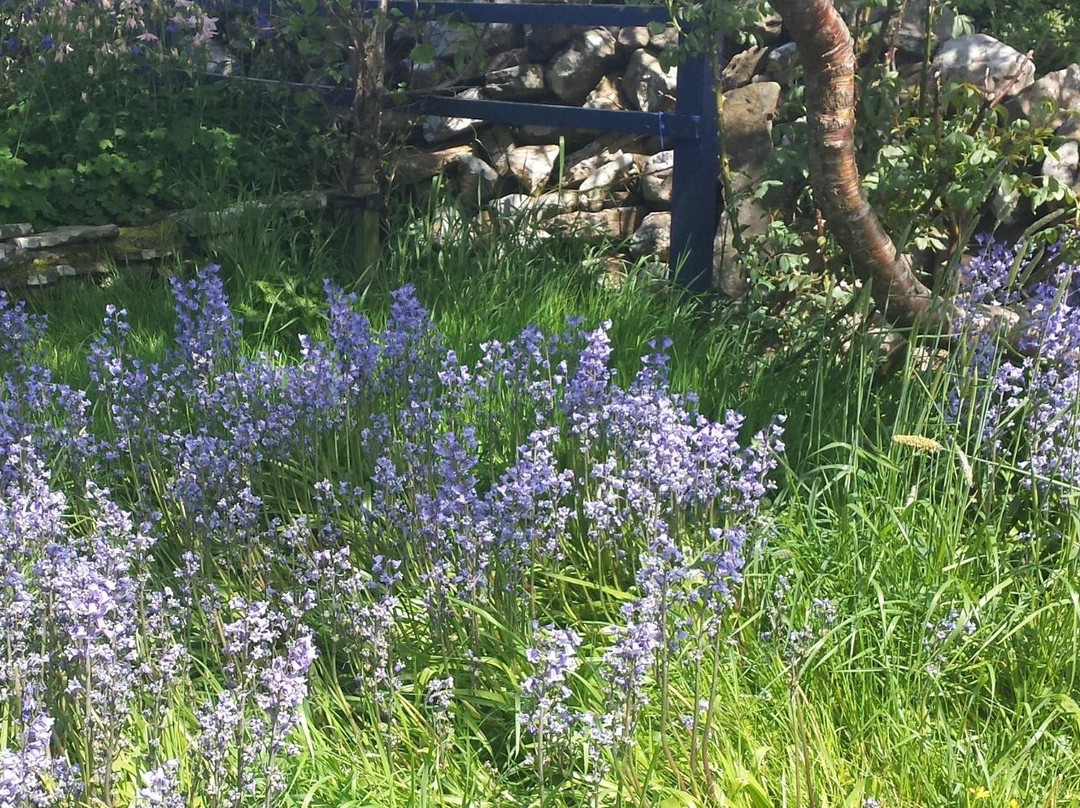 Doolin Garden and Nursery景点图片