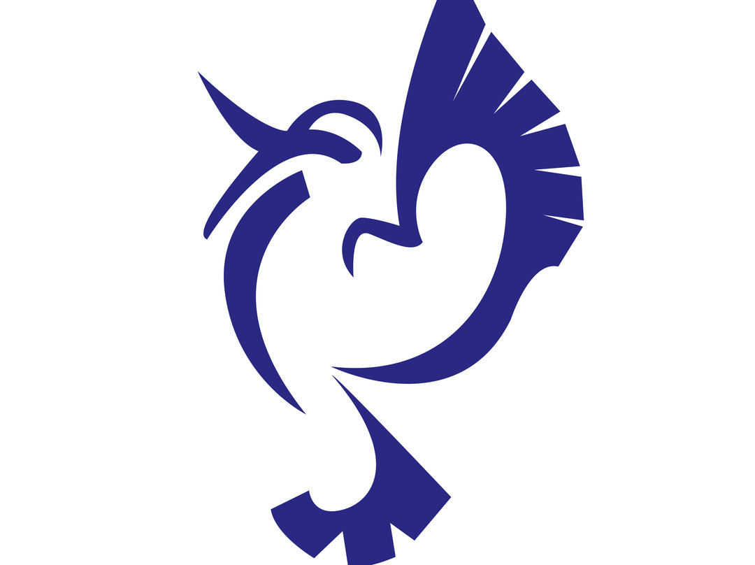 Kookaburra Air-达尔文市必去景点