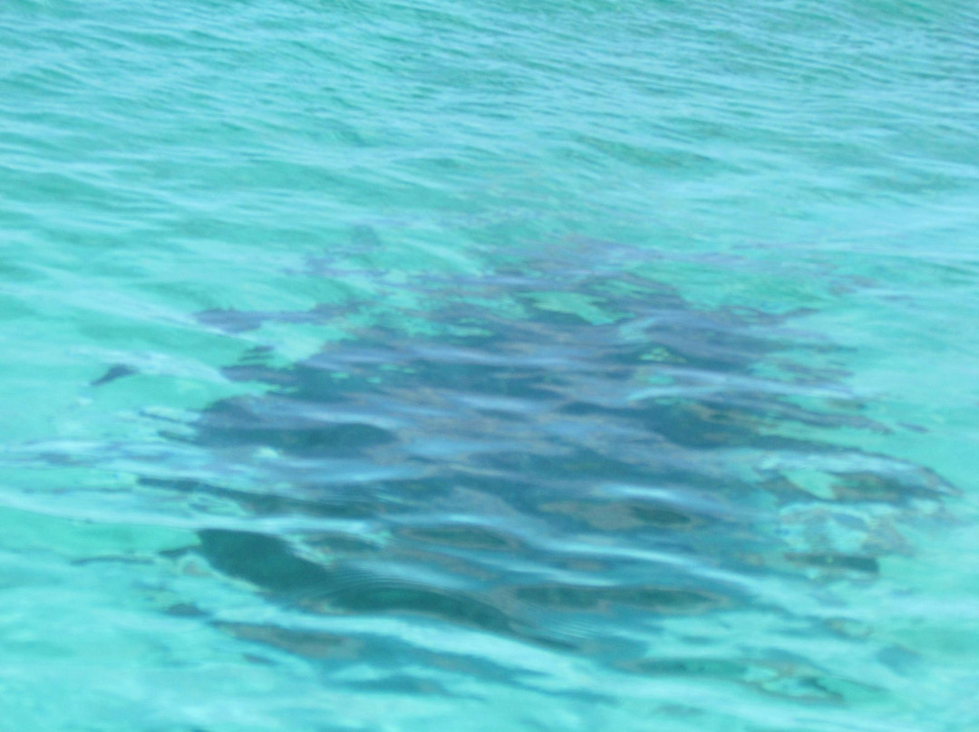 Isla Daphne Mayor-加拉帕戈斯群岛必去景点