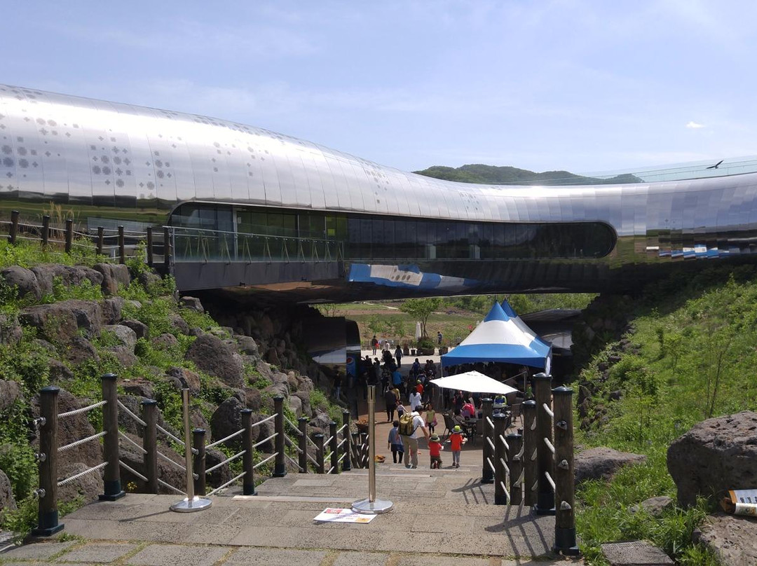 涟川郡旅游景点-Jeongok Prehistory Museum