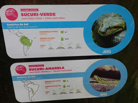 Sao Bento Do Sul旅游景点-Parque Natural das Aves