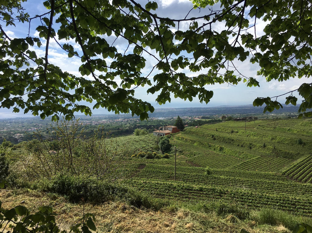 Azienda Vinicola Barone di Villagrande e Cantine景点图片