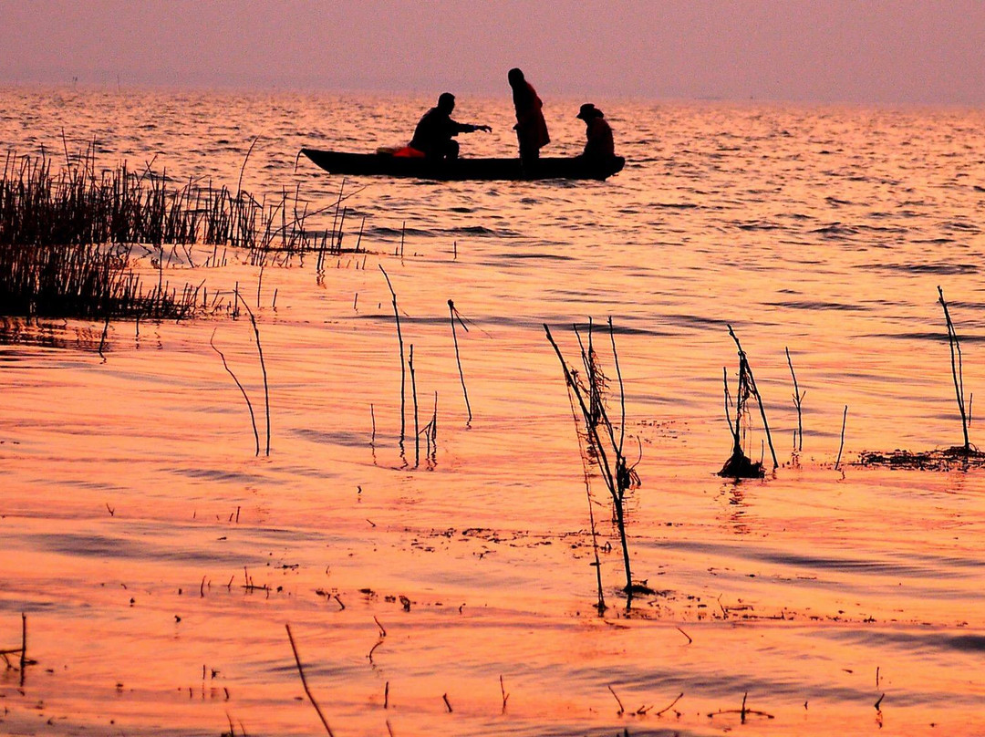 骆马湖湿地-宿迁市必去景点