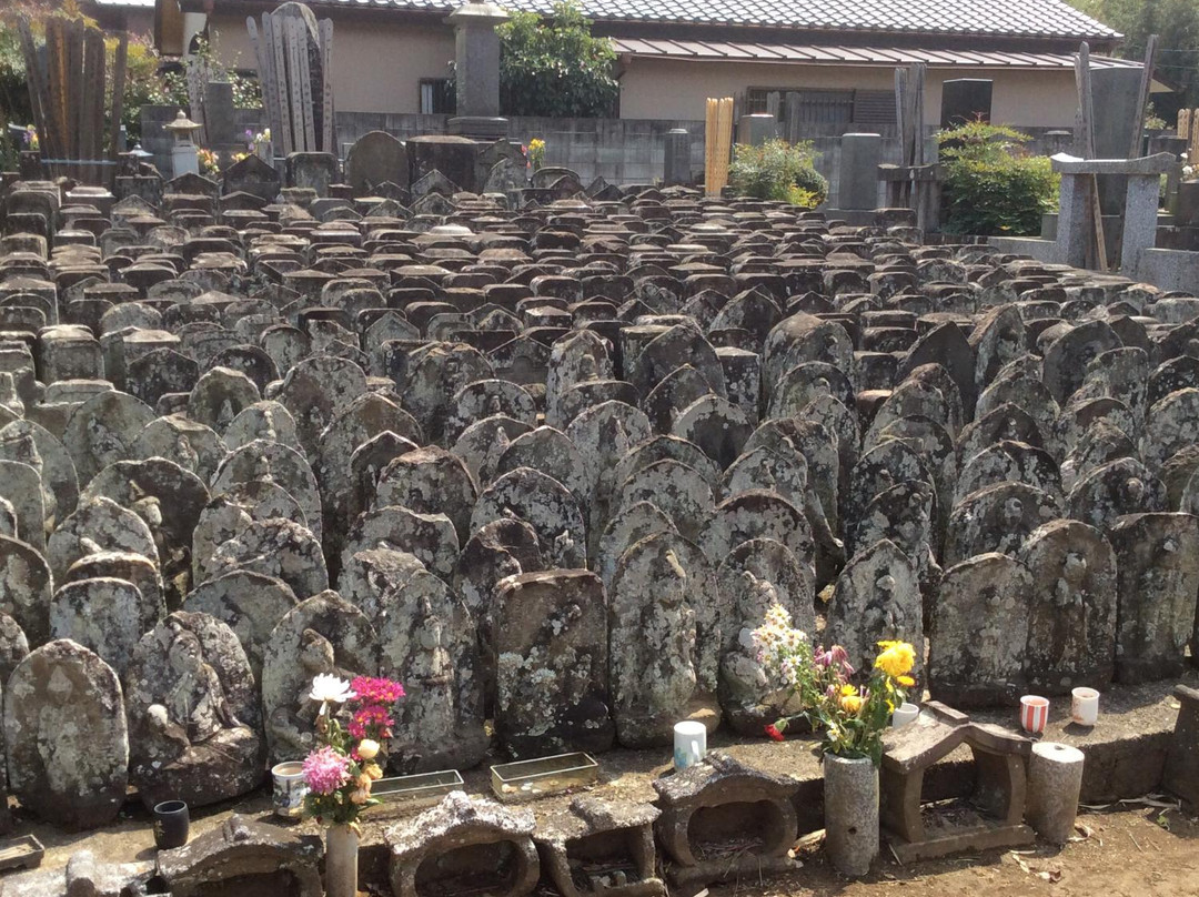 Daishoin Temple-佐仓市必去景点