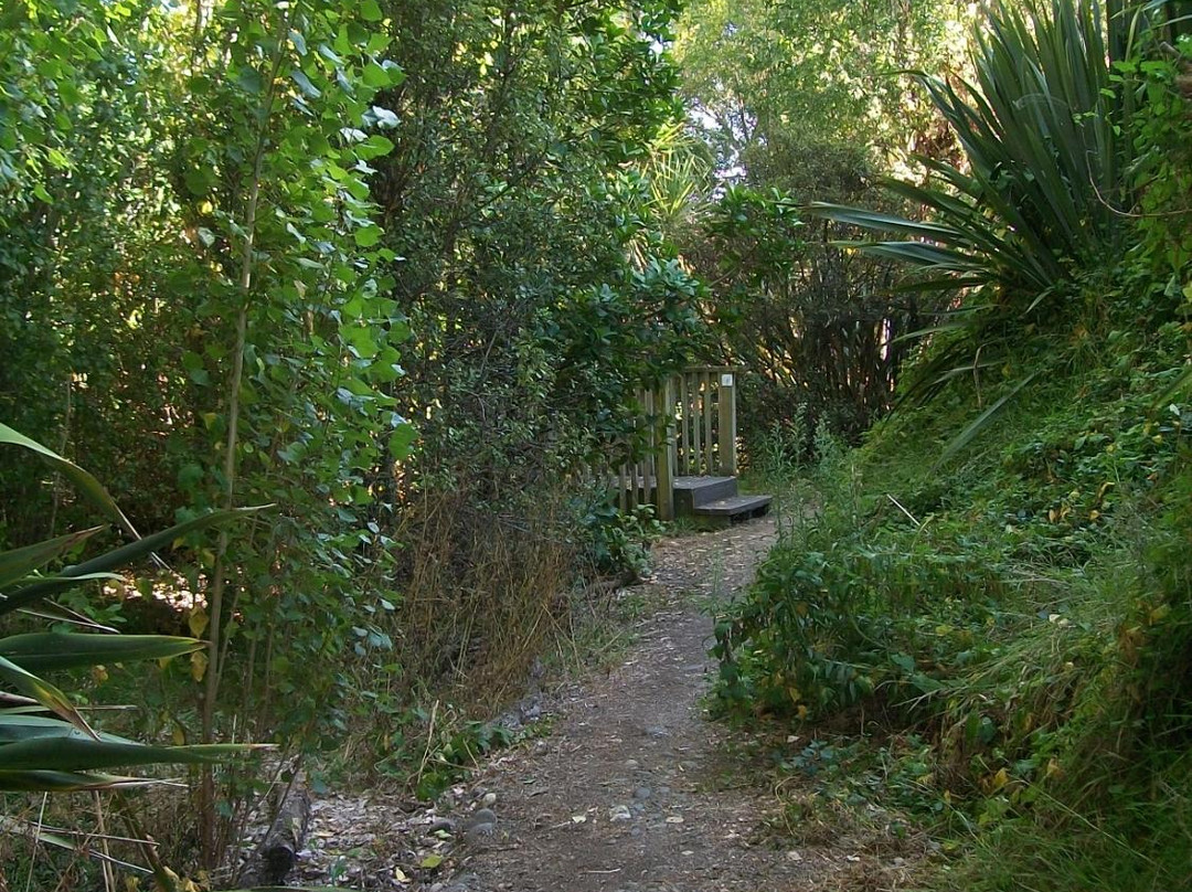 Palmbrook Reserve景点图片