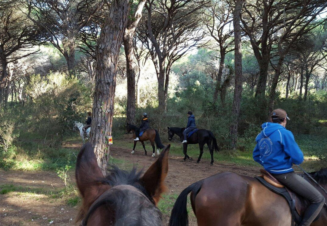 Cavallo Natura景点图片