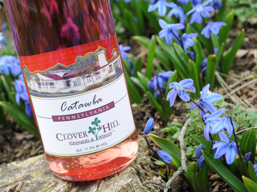 Clover Hill Vineyards & Winery景点图片