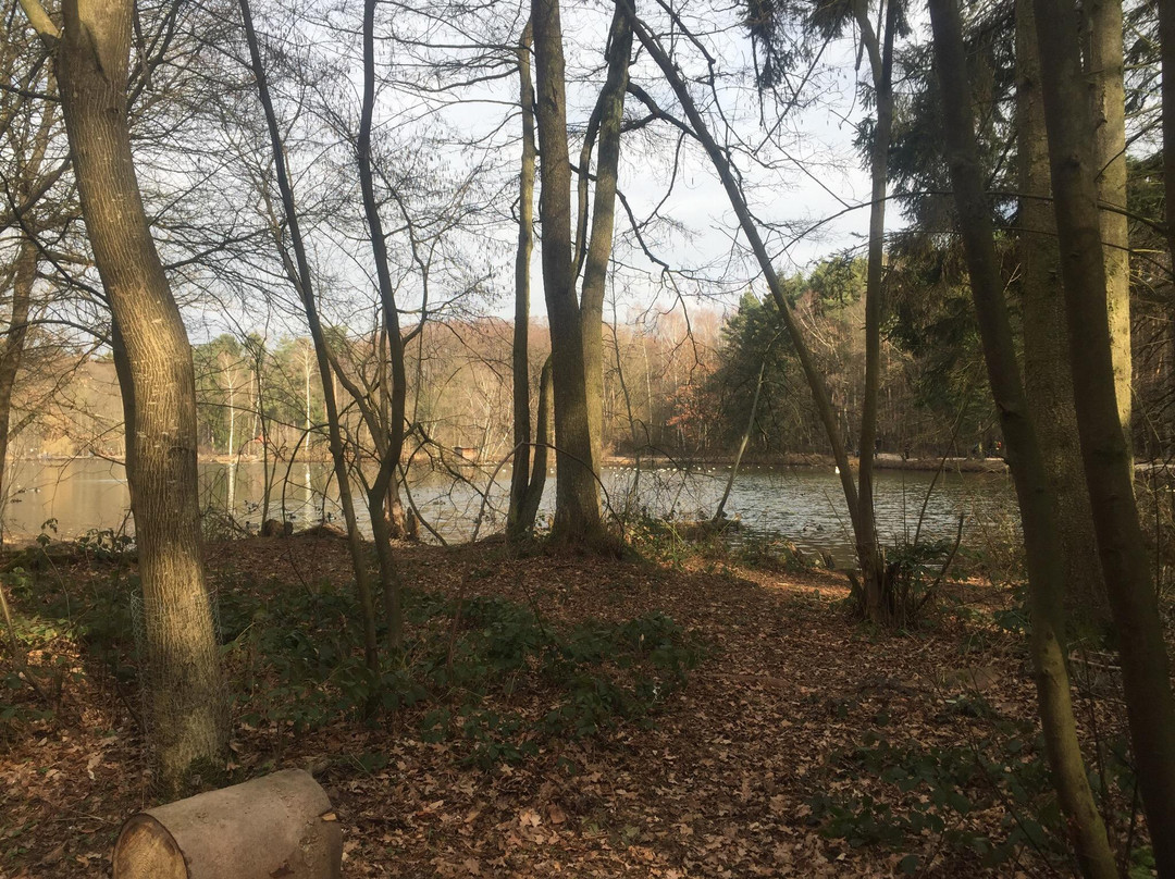 Wild- und Freizeitpark-Teublitz必去景点