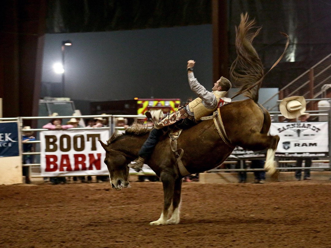 Horseshoe Park & Equestrian Centre-Queen Creek必去景点