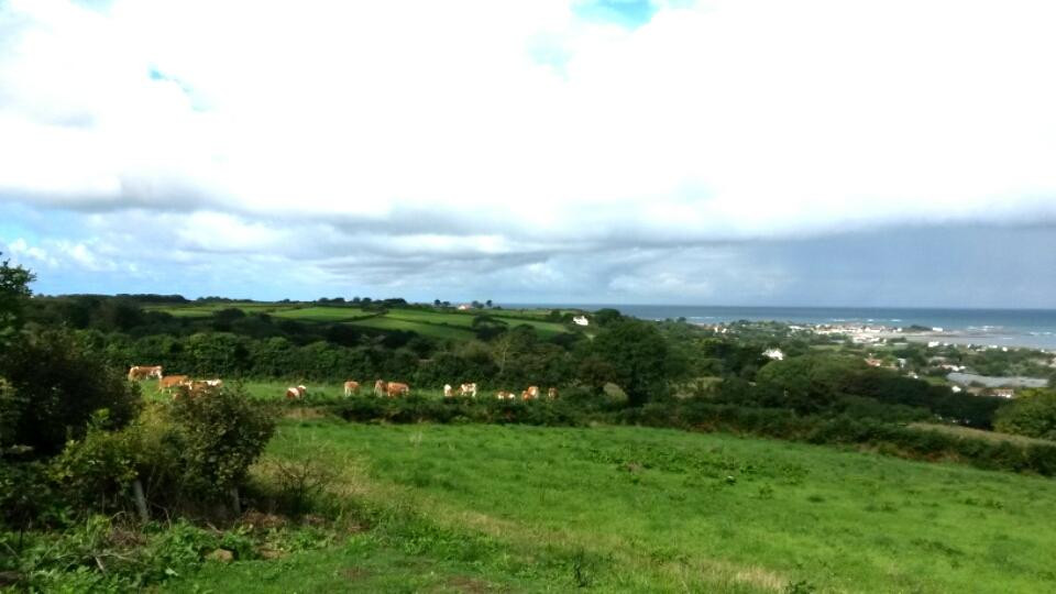 Guernsey Guided Coastal Walks-根西岛必去景点