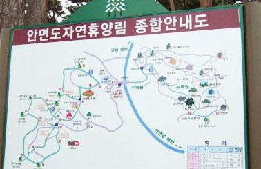 Anmyeondo Island Recreational Forest-泰安郡必去景点