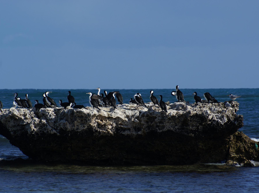 Jurien Bay Marine Park-朱里恩湾必去景点