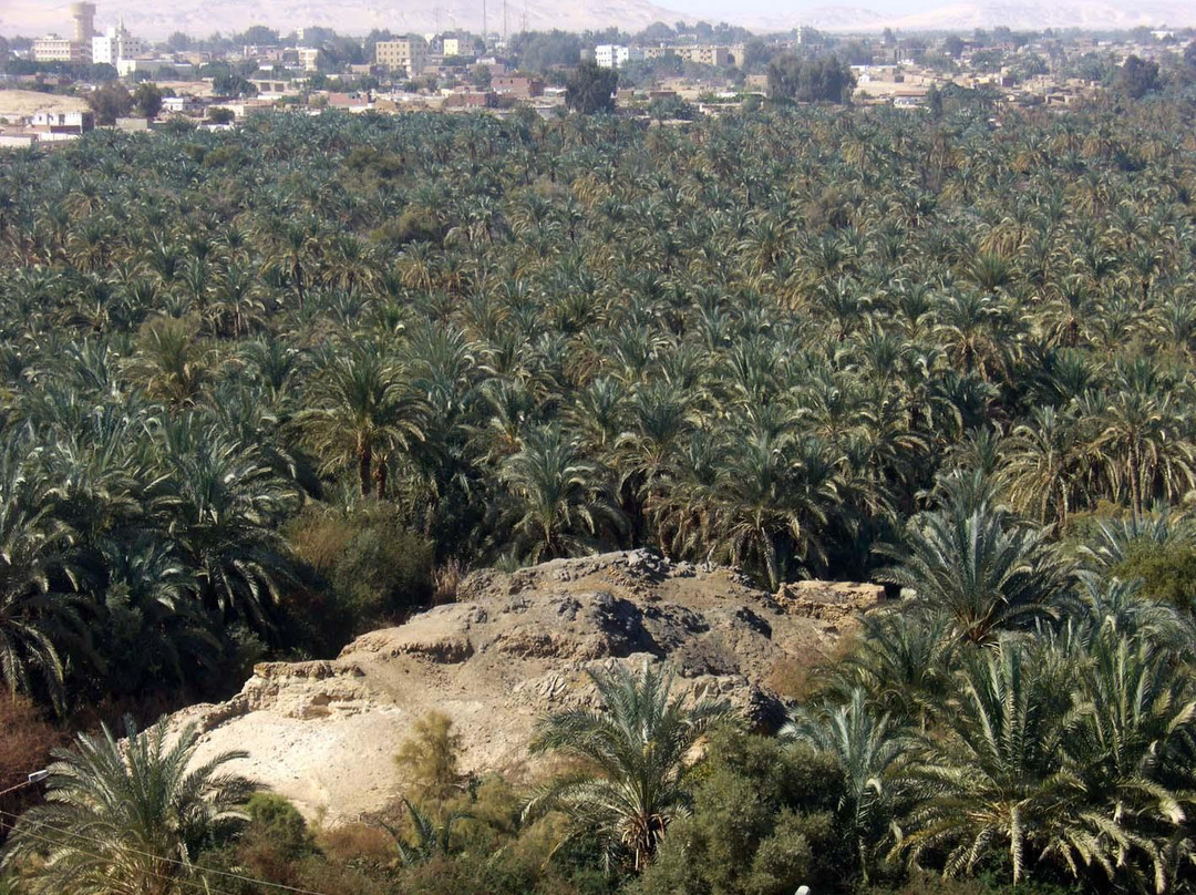 Gebel al Ingleez White desert景点图片