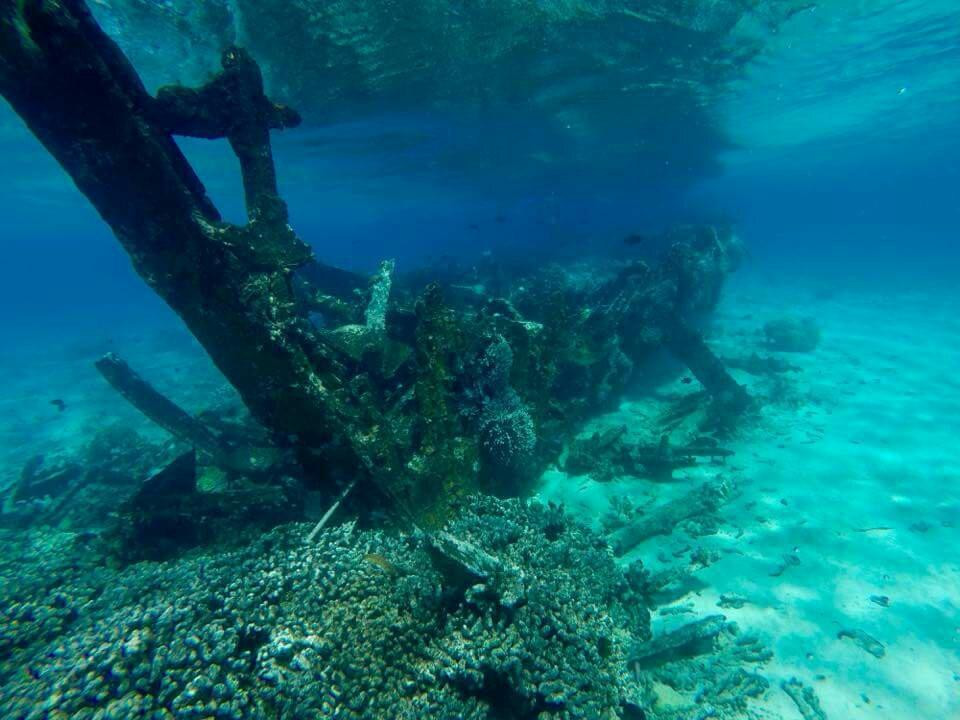 Island Explorer Holidays - Private Day Tours-West Island必去景点