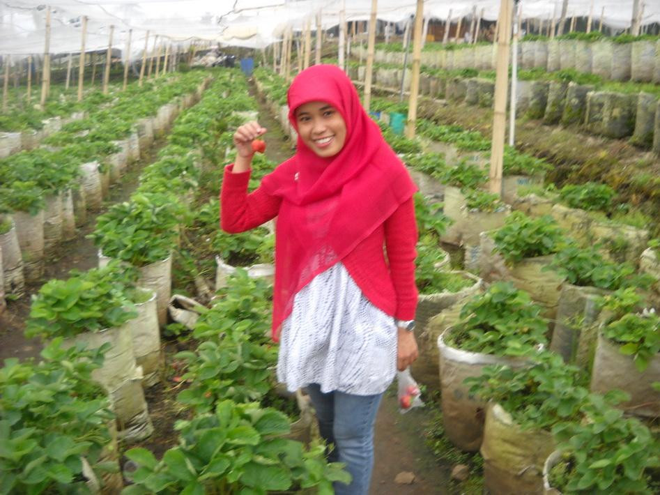 Wisata Desa Agro Bumiaji-巴图必去景点