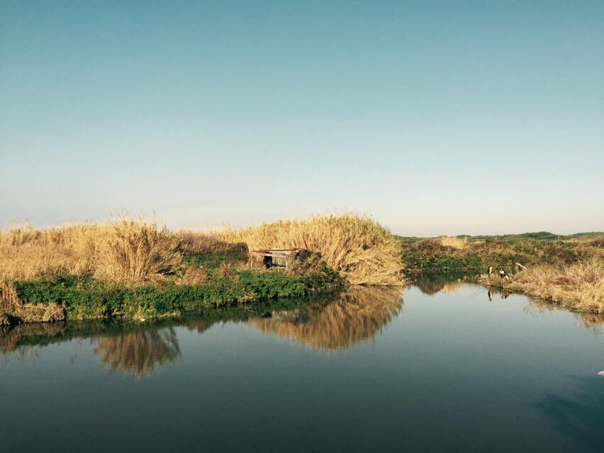 Borgo Santa Rita旅游景点-Oasi WWF Bosco Foce dell'Arrone