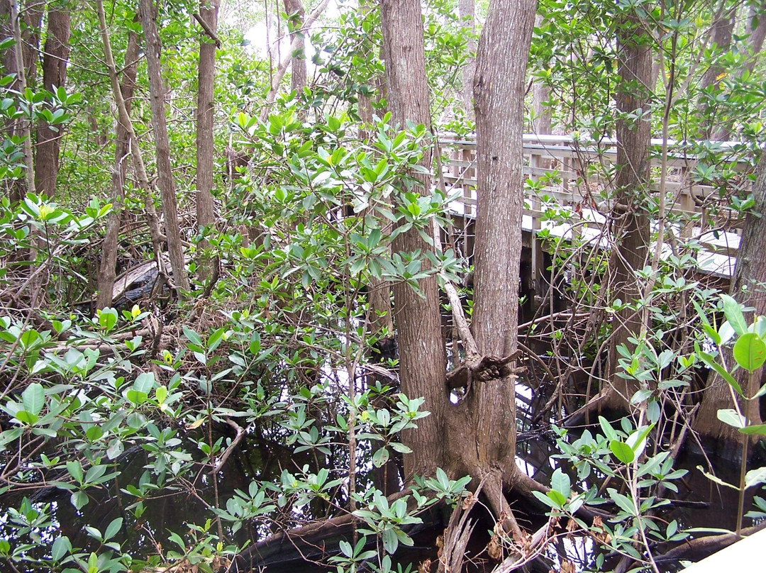 Deerfield Island Park景点图片