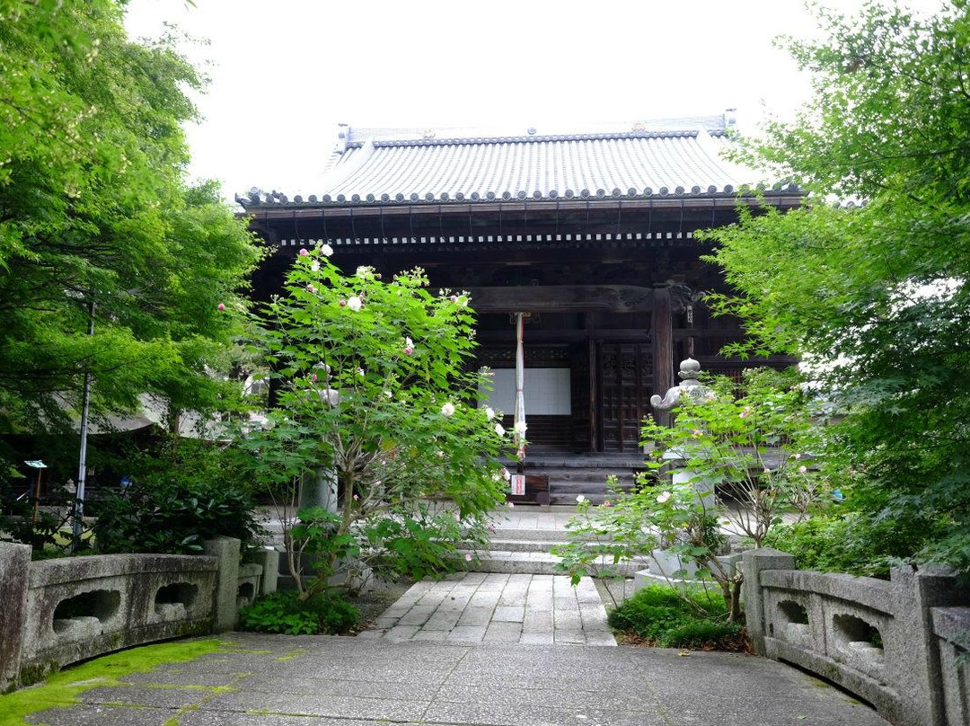 Shanain-长滨市必去景点