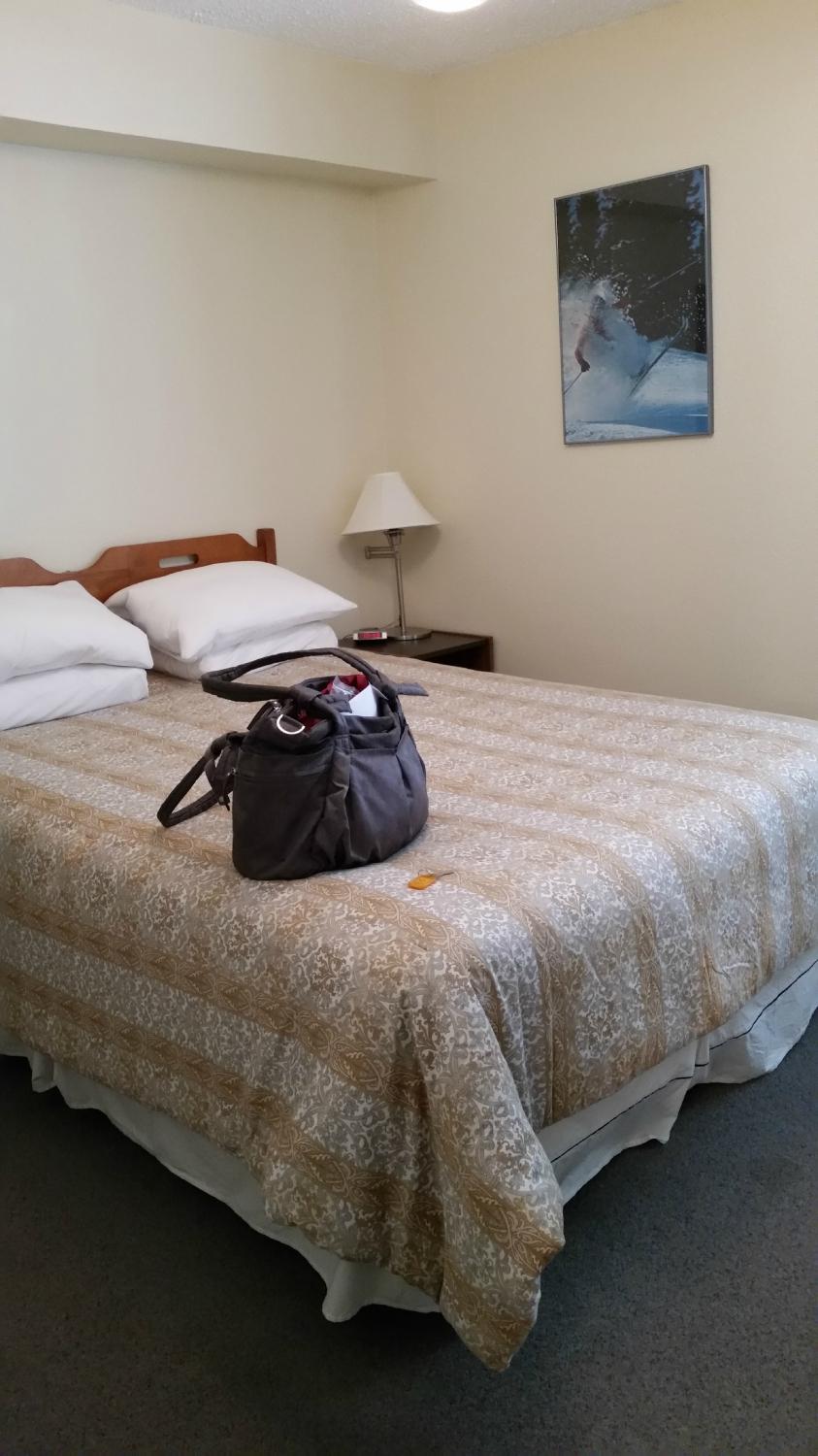 Inn West-Kirkwood Inn-客卧