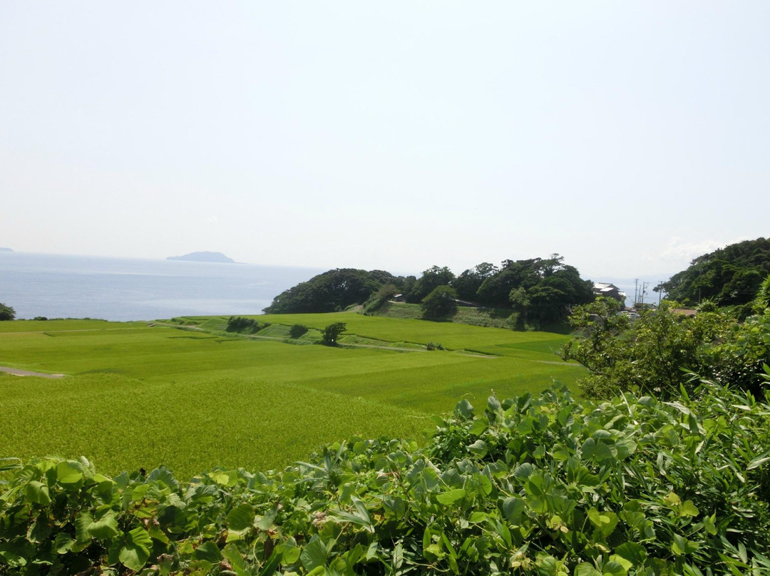 伊根町旅游景点-Nii Terraces