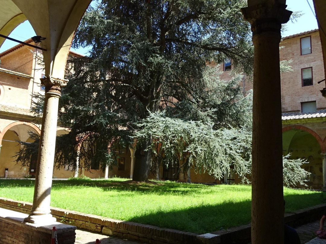 Basilica di San Francesco-锡耶纳必去景点